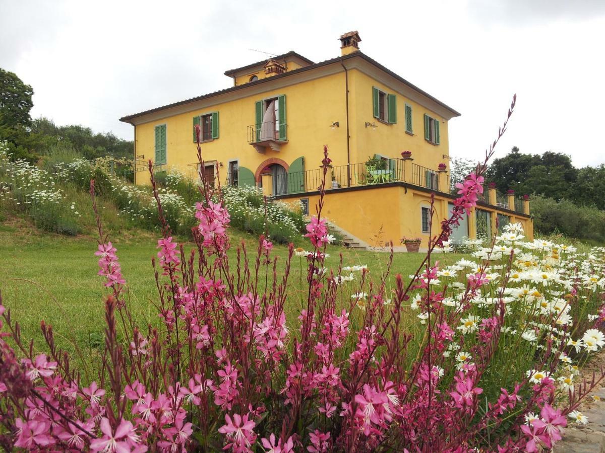 Il Campano Appartement Collodi Buitenkant foto